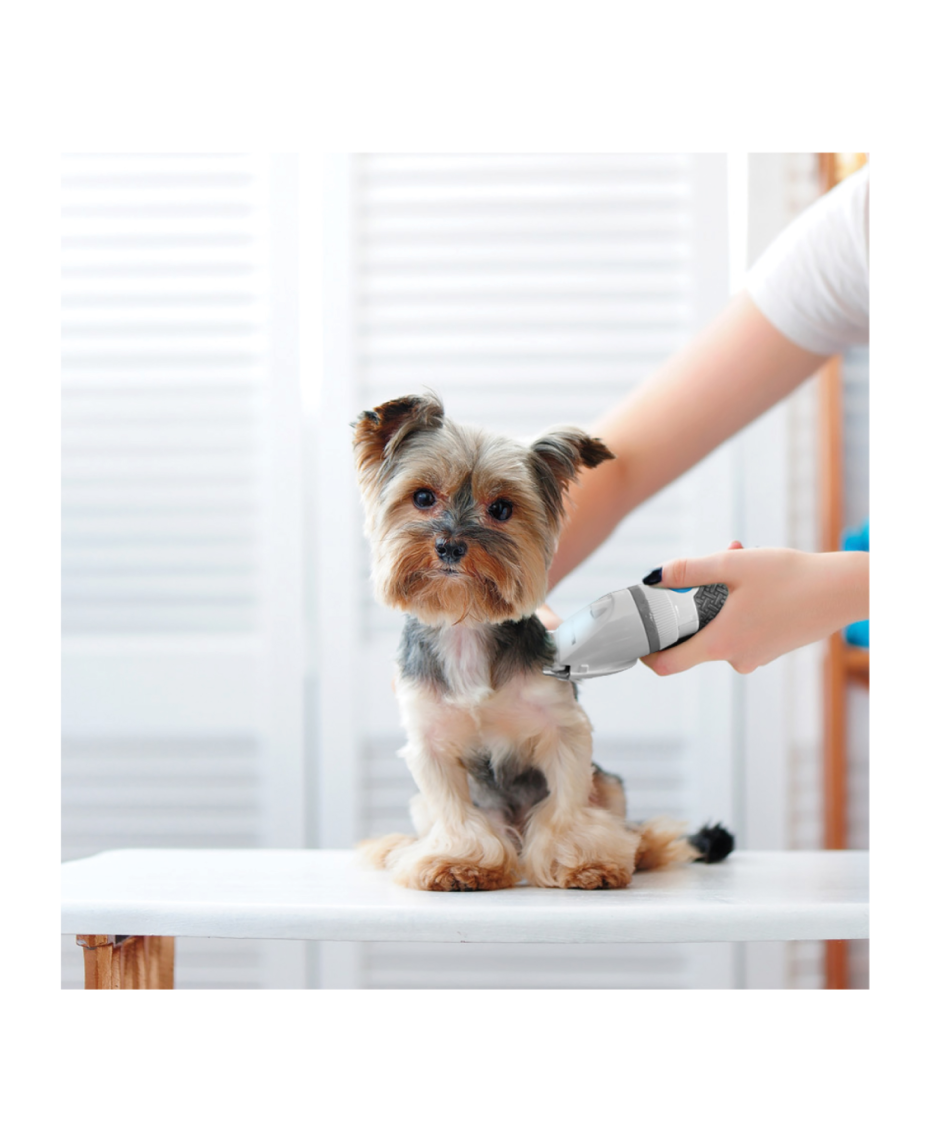 TV Shop Paw Perfect Rechargeable Pet Hair Trimmer Shaver Shop