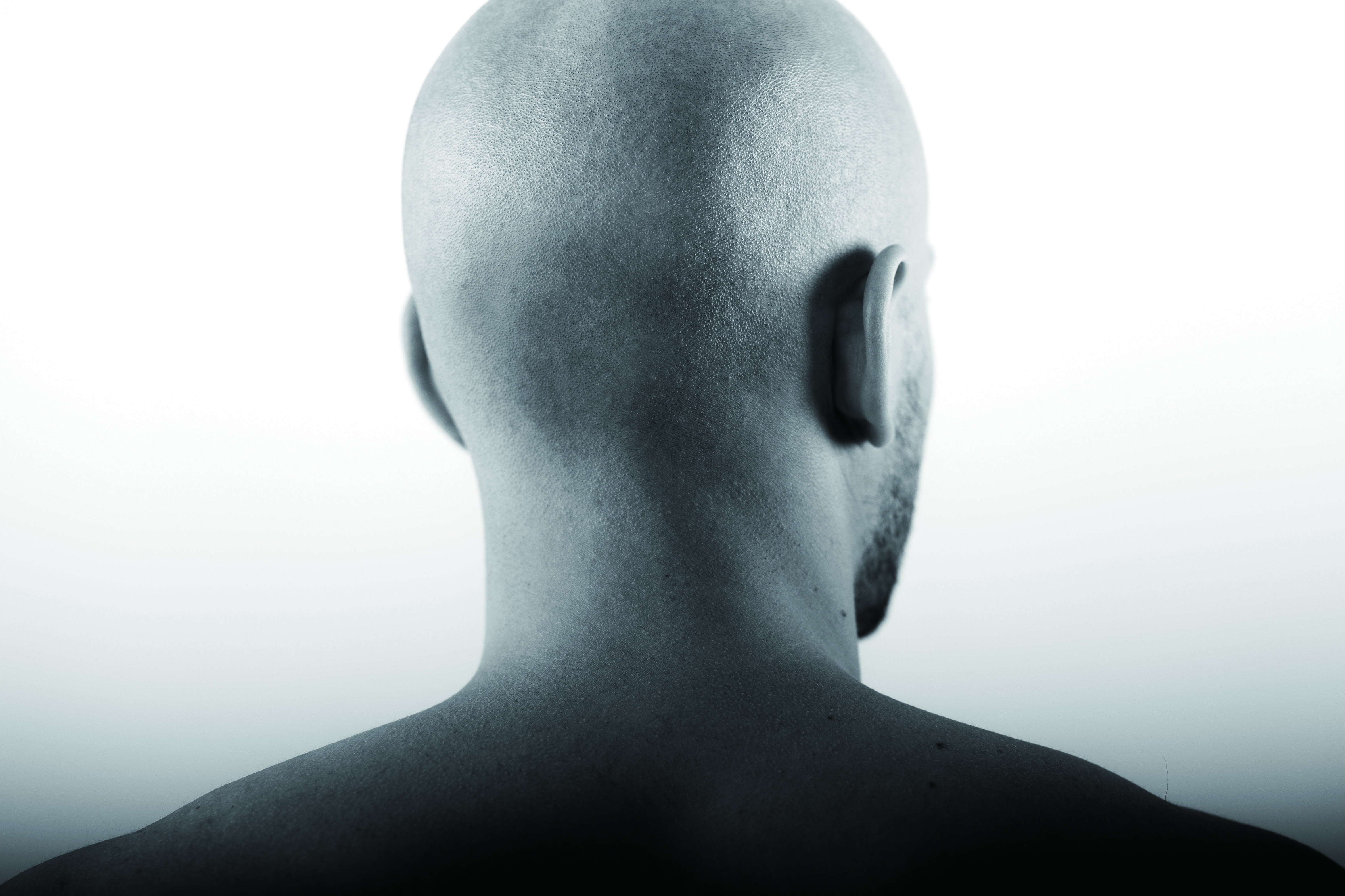 remington bald head shaver