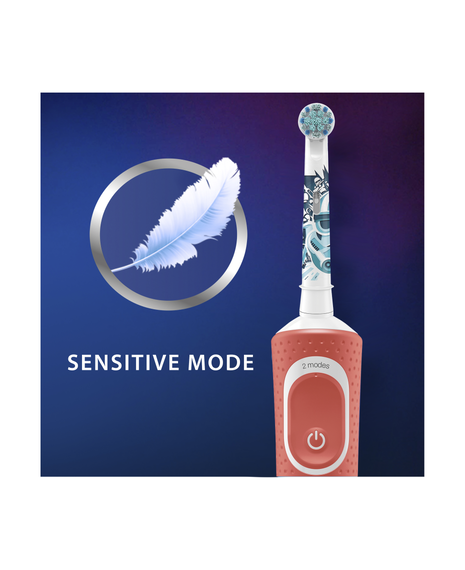 Pro 100 Family Edition Dual Electric Toothbrush