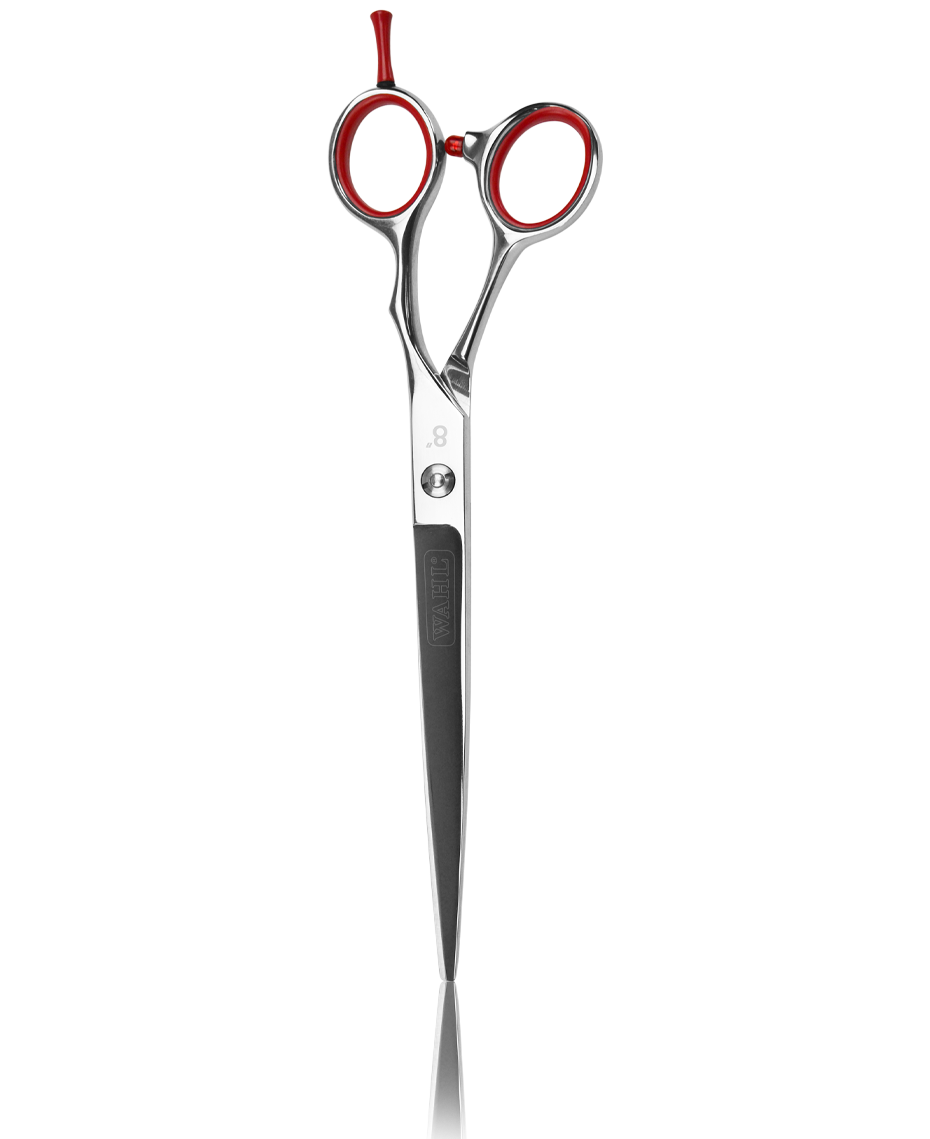 barbers scissors