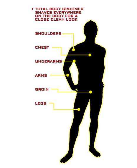 Professional Body Groomer