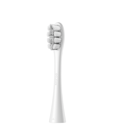 Professional Clean Replacement Brush Head Refills 2 Pack - Silver