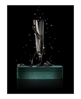 platinum+ hair straightener in warm pewter