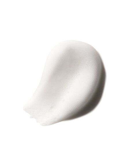 Fiber Grooming Foam - 200mL