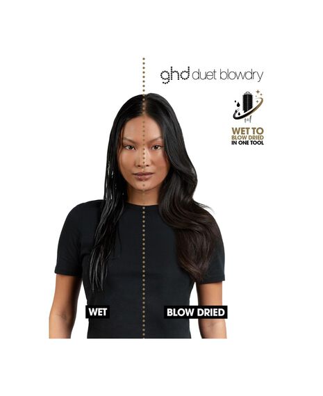 duet blowdry 2 in 1 hair dryer brush