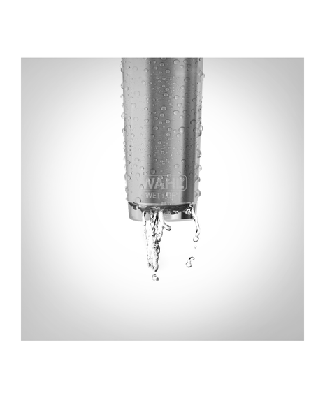 Waterproof Lithium-Ion Stainless Steel Grooming Kit - Silver