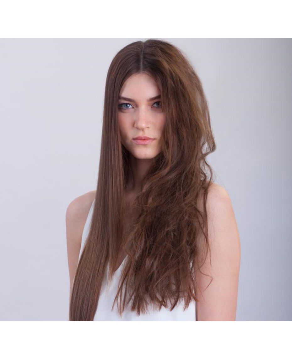 Dafni brush special online edition