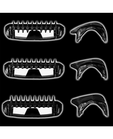 Professional Body Groomer