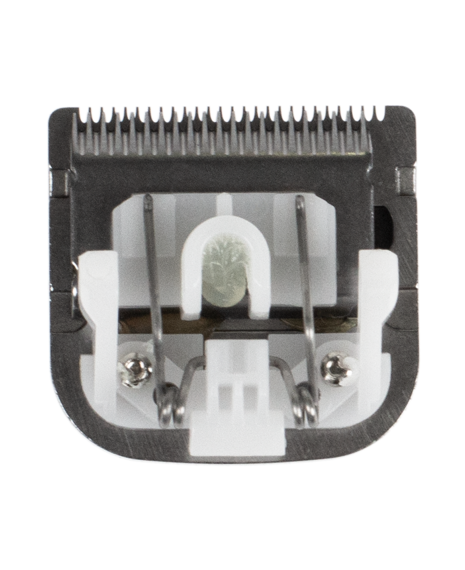 double door entry gate