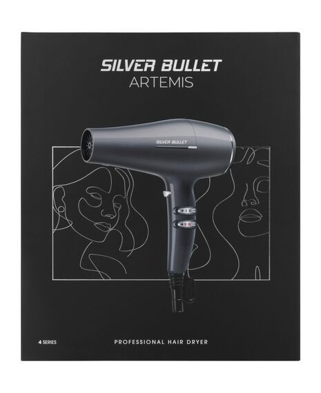 Artemis Professional Hair Dryer