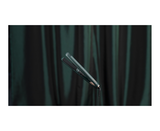 The Evergreen Collection Original Iron Hair Straightener