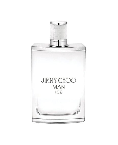 Man Ice Eau de Toilette - 100mL