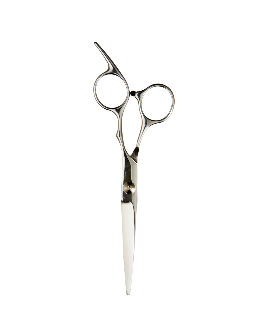 Transform-U 6.0 Inch Stainless Steel Scissor