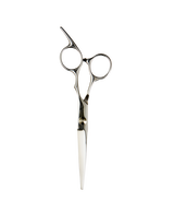 6.0 Inch Stainless Steel Scissor