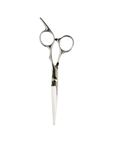 6.0 Inch Stainless Steel Scissor