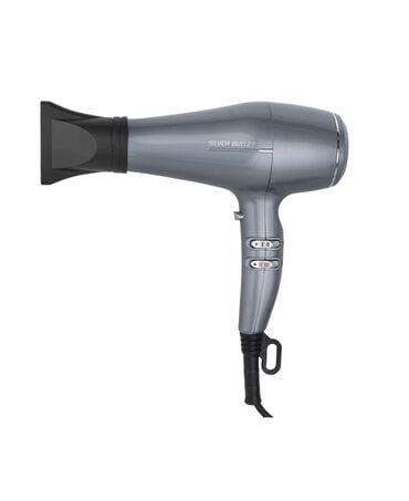Artemis Professional Hair Dryer