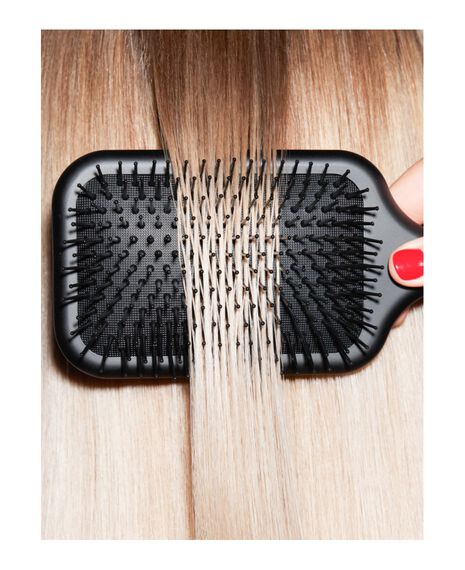 The All-Rounder - Paddle Brush