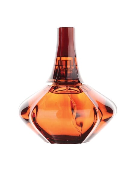 Secret Obsession Eau De Parfum - 100mL