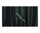 The Evergreen Collection Wide Iron Hair Straightener