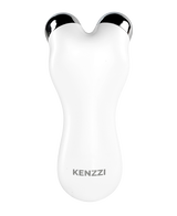 EMS Skin Rejuvenation Handset