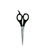 Apprentice 5.5'' Scissors