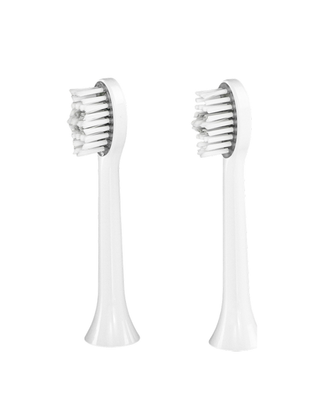 LED Whitening Replacement Brush Head Refills 2 Pack - Coconut Milk
